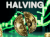 Bitcoin Halving 2025: What to Expect and How It Might Affect Prices Bitcoin Halving 2025: What to Expect and How It Might Affect Prices