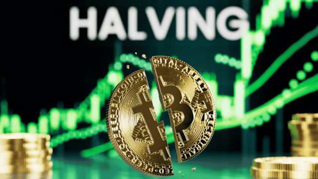 Bitcoin Halving 2025: What to Expect and How It Might Affect Prices Bitcoin Halving 2025: What to Expect and How It Might Affect Prices